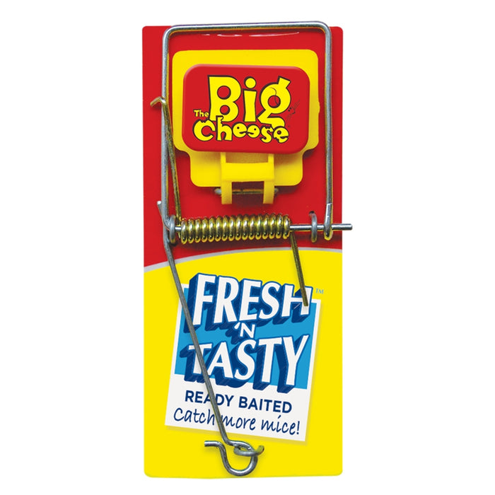 The Big Cheese Baited Wooden Mouse Trap
