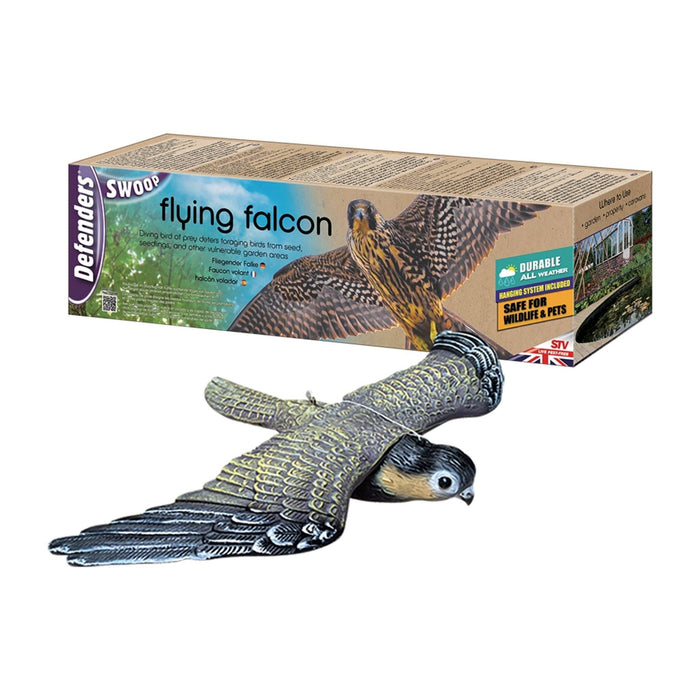 Defenders Flying Falcon - The Online Garden Shop