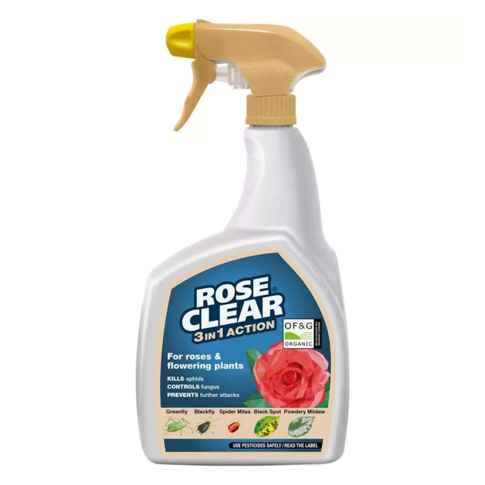 Rose Clear 3 in 1 Action