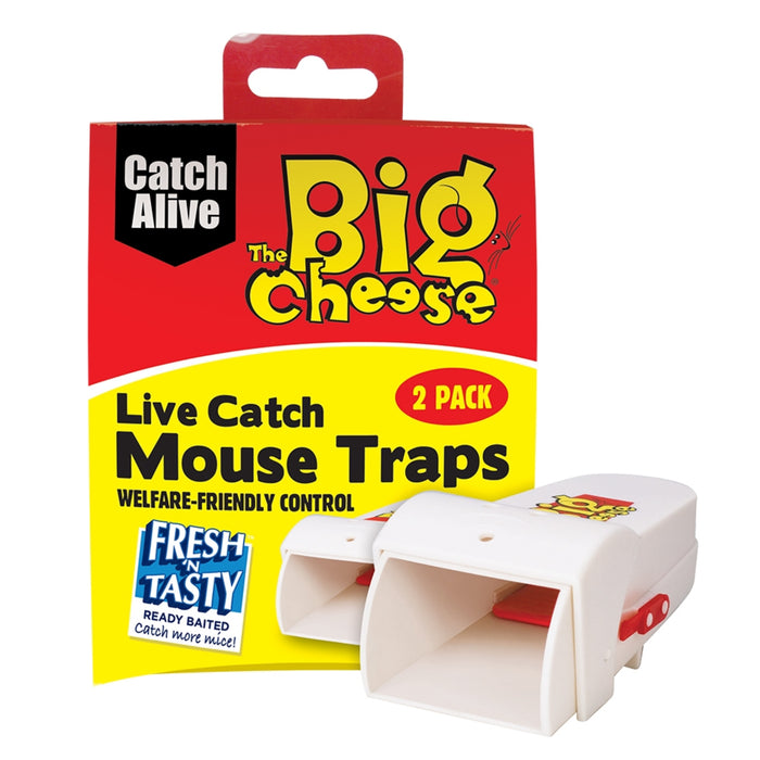 The Big Cheese Mouse Live Catch Twin Pack